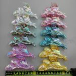 Morning glories in six brilliant colors. Boss Lady Bright Six Colors