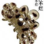 PC plastic claw clip Hollow Three-Flower Elastic Claw Clip