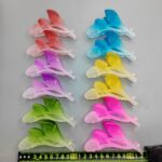 Morning glories in six brilliant colors. Boss Lady Bright Six Colors