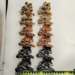 Claw clip Rubber 6-Color Single Flower